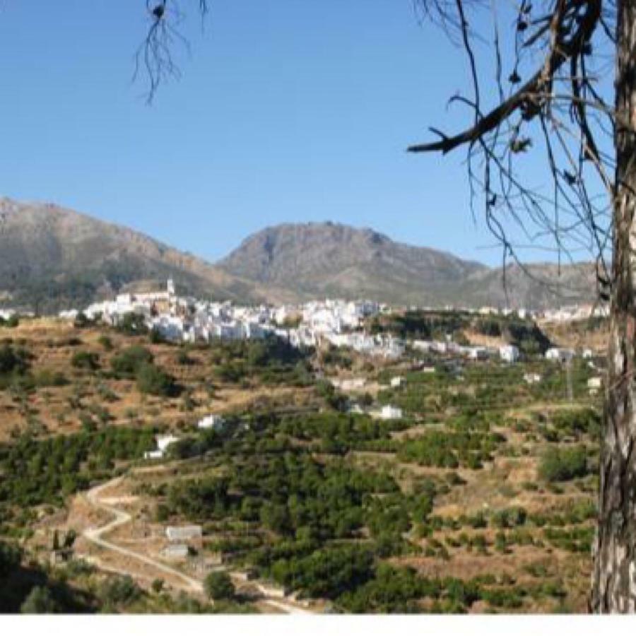 Casa Las Tres Conchas Yunquera المظهر الخارجي الصورة
